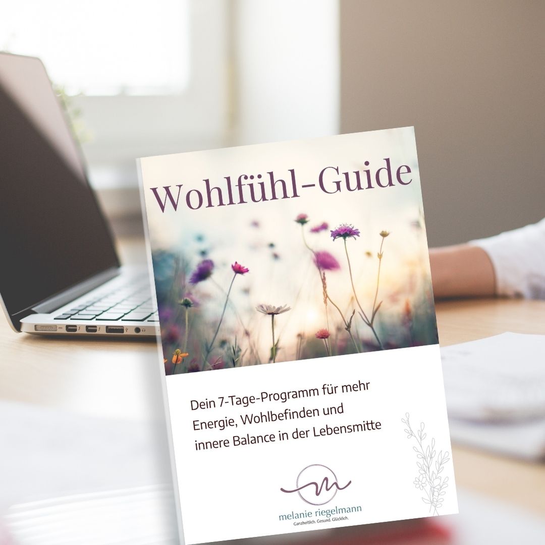 Wohlfühl-Guide Mock up 2026